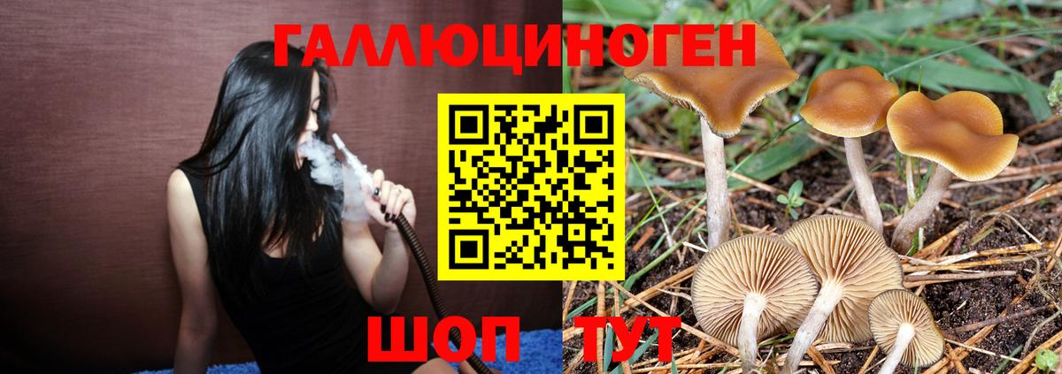 Псилоцибиновые грибы Magic Shrooms Камышлов